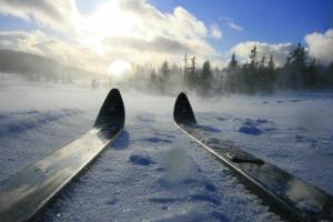 vinter-ski_large2